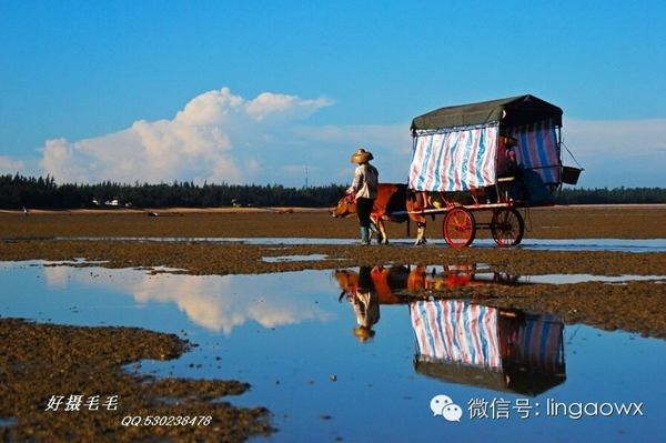 临高新盈镇后水湾奇景(网友拍摄)
