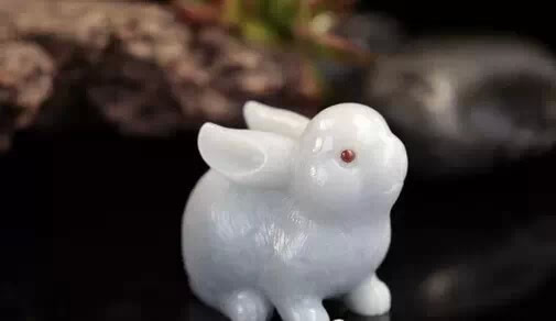 夫妻属相相冲?戴珠宝能化解!|佩戴|动物