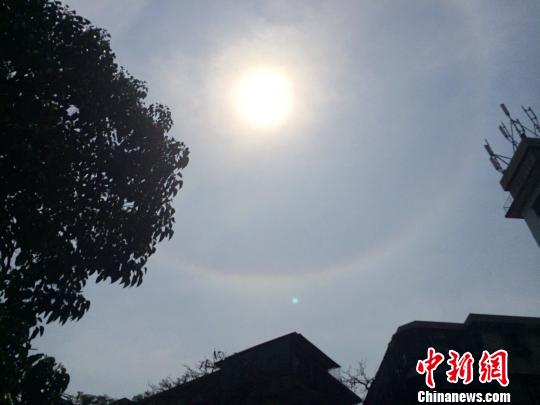广东汕头现日晕奇观 持续两小时(图)|日晕|气象