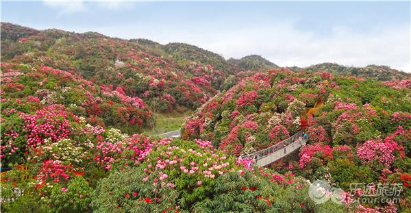 壶关县五龙山镇有多少人口_壶关县有多少个村(3)