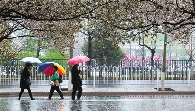 雨中行