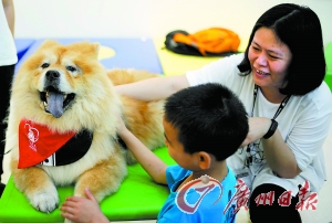 只靠爱不能治愈自闭症|幼儿园|多动症