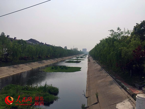 洪湖财政:循序渐进夯实三万活动成果|驻村|党