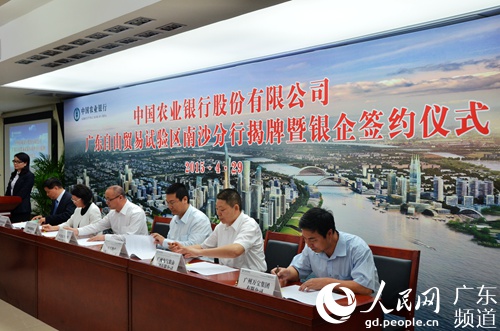南沙自贸片区成立首家分行级银行机构|农行|分