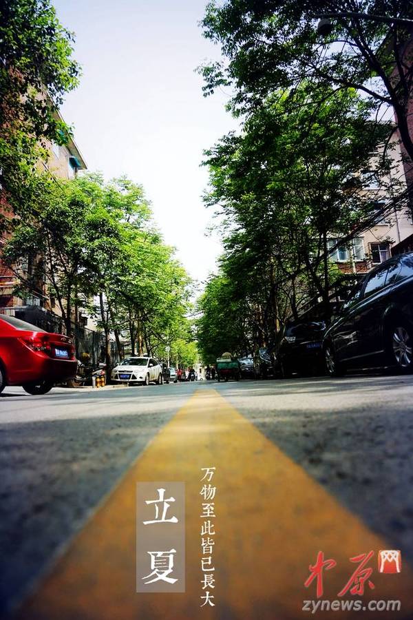 绿树浓阴夏日长.