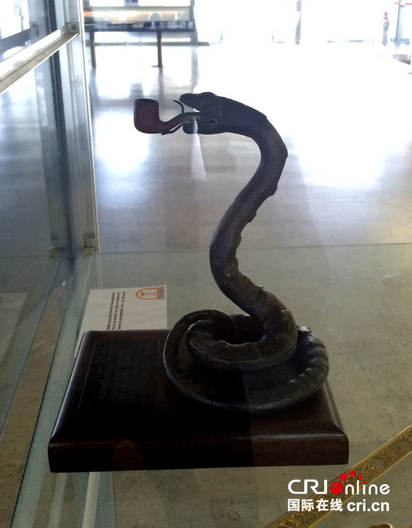 “叼着烟斗的眼镜蛇”是巴西远征军的标志