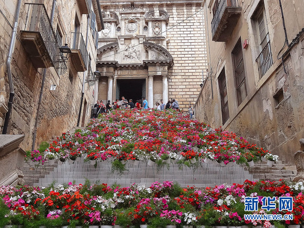 2015年鲜花节期间街拍 新华网记者周喆摄