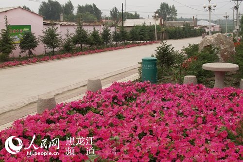 哈尔滨市阿城区加强农村环境整治 建设美丽乡