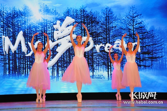 关注孤独症儿童 全国助残日活动在石家庄举行