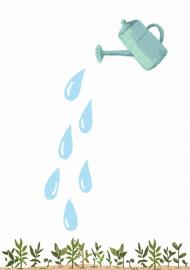 给社会保险补贴相关费用减免|贷款|抵押