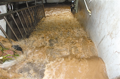 丰都县城成河淹了百辆轿车 北碚18名露营游客