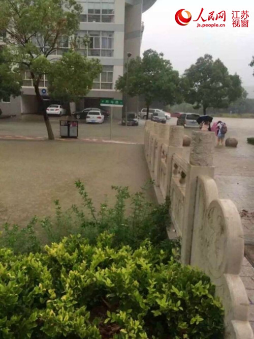 南京暴雨袭城 菜场遭淹流浪狗基地围墙垮塌|学