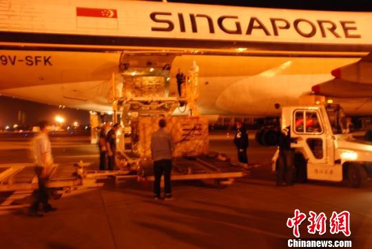 5000余只澳洲种羊落户内蒙古|内蒙古|呼和浩特