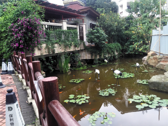 史上最严厉的“整治违法建设”措施，能否治得住萝岗保利林语山庄部分别墅私挖的地下室？   羊城晚报记者 黄巍俊 摄(资料图片）