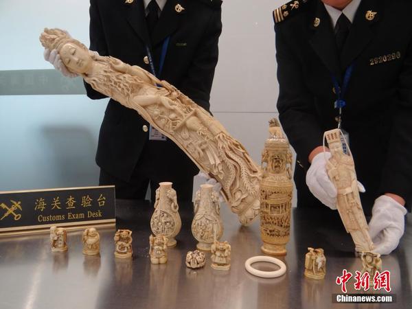 温州海关查获一起走私象牙 案值近40万元|海关