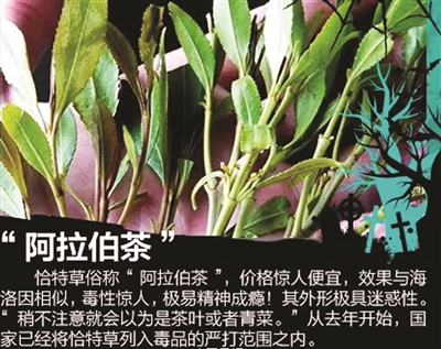 毒驾男闹市连撞9人,被判危害公共安全罪获刑