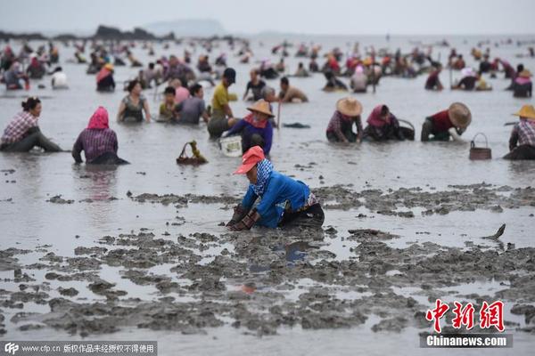 福建泉州一养殖基地油蛤遭近2000人哄抢|承包