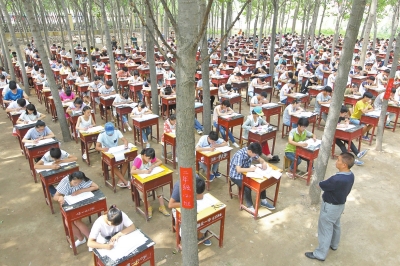 新乡封丘一中在杨树林里举行高二期末考试|学