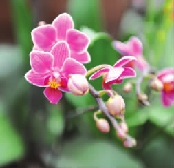 名人口吐芬芳_人口普查