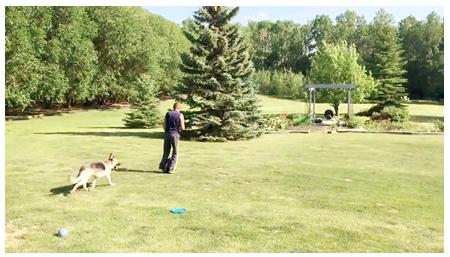 欢乐骑行,爱尔威独轮平衡车海外玩家新手学车