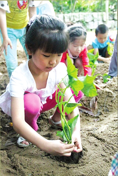 平潭哪里海鲜好_7月18日我们一起去平潭拉网捕鱼