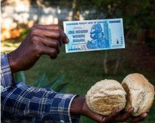 人民币成津巴法定货币?|汇率|印度卢比