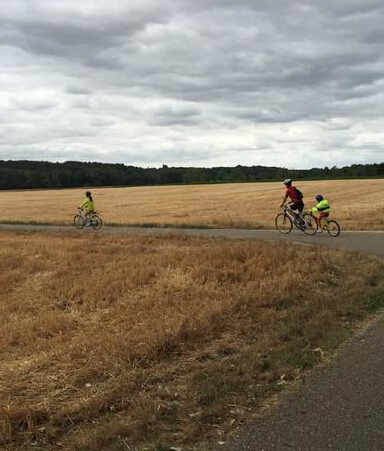 马伊琍晒骑行照放开心结:经过才能看见风景