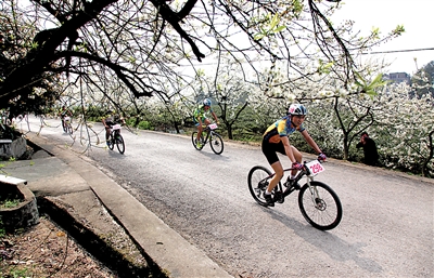 多彩二圣 美丽天坪山摄影大赛|重庆|巴南区