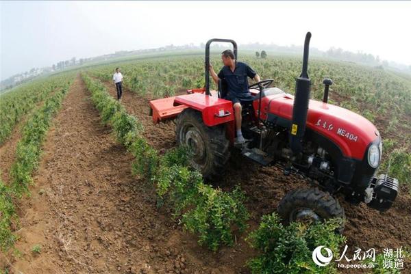 石榴基地工作场景