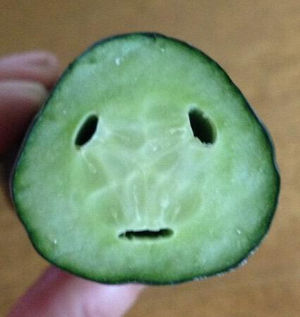 奥，这是黄瓜骷髅君吗？