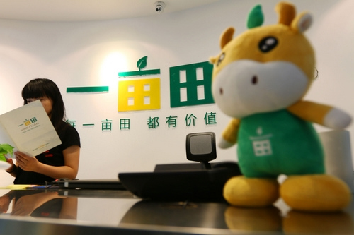 一亩田副总裁:解决滞销60起 将重塑农业生态|农