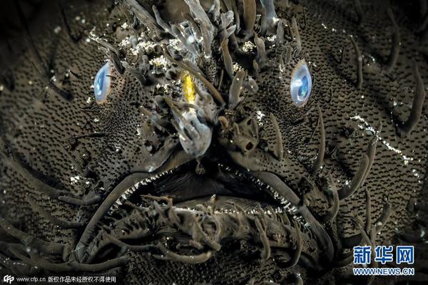深海恐惧症慎入 实拍震撼海底生物【组图】|拍