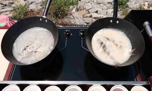 鱼汤越白汤营养价值越高?|脂肪|母乳