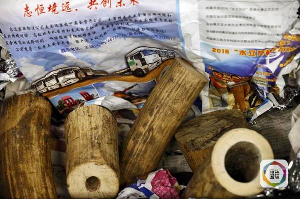被查携200公斤象牙的中国乘客已回国|海关|机