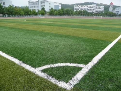 校园足球系列之四:莫让校园人工草坪成健康杀