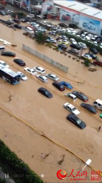 白马路上大量车被淹 邹家骅摄