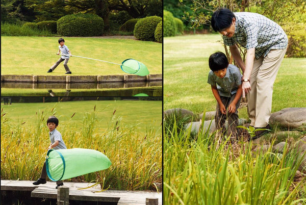 图为悠仁亲王(拼图，图片资料来源日本《每日新闻》网站)