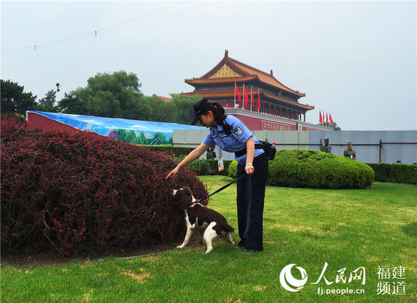 高清:结束胜利日阅兵之旅 厦门籍最萌排爆员