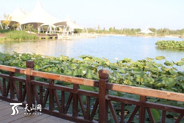 绿色长廊，恬静的古朴