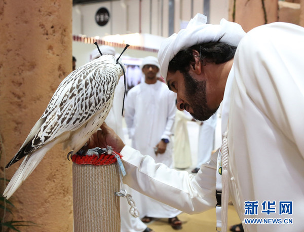 一位参观者在仔细端详展出的猎鹰。新华社记者安江 摄