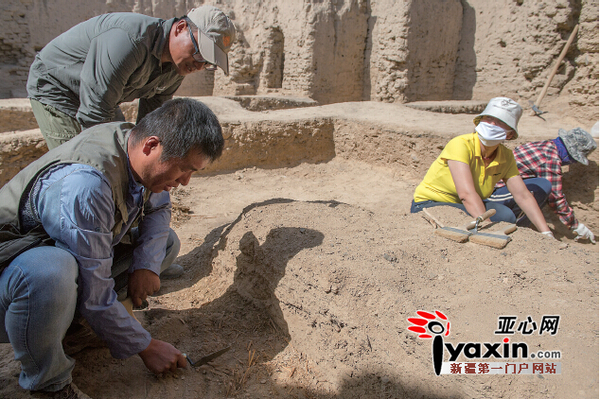 公众首次参与新疆吐鲁番考古发掘|考古|熟土