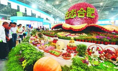 合肥农业产业化发展逆风飞扬|融资|担保