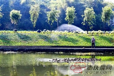 重庆花木世界里青山绿水，鸟语花香。