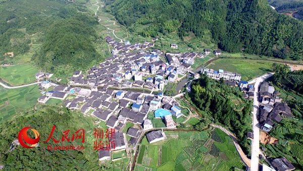 政和县镇前镇下园村