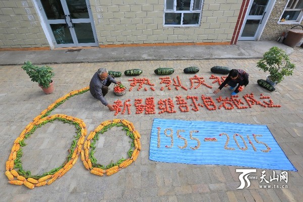 六旬老人姚炳江和老伴王凤英正在拼制“粮食画”