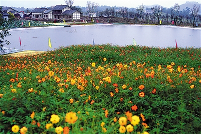 驿都花海景区装扮一新，静候游客的到来。重庆晨报记者 胡杰 摄