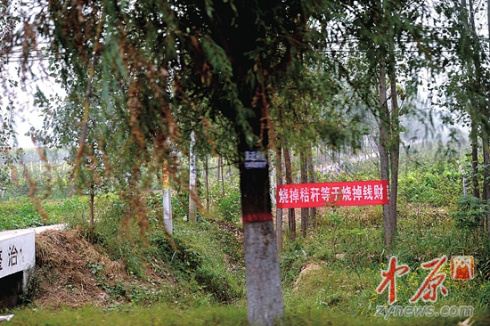 原阳县临近公路的田地，挂着不少禁止焚烧秸秆的条幅