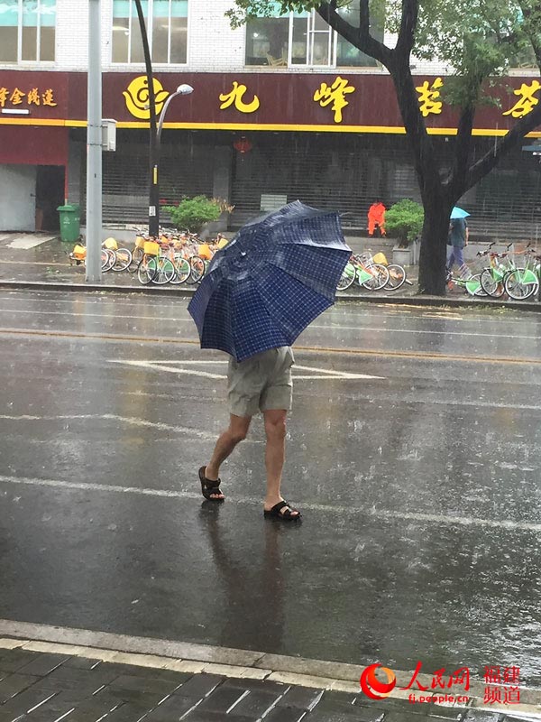 组图:台风"杜鹃"袭来 福州市区不少行道树树枝被刮断