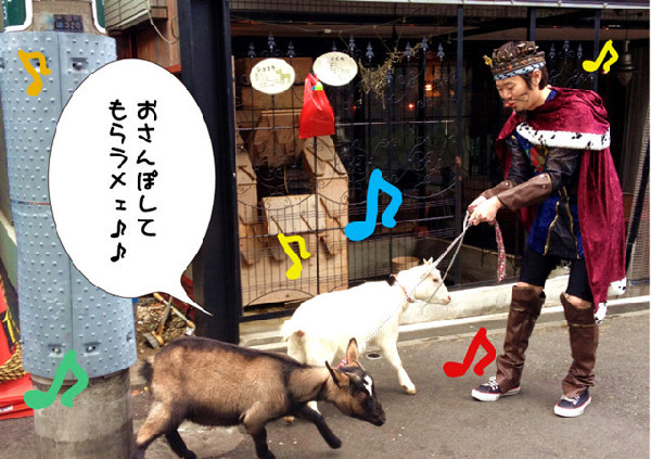 店员带领小黑和小白外出散步（网页截图）