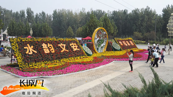 河北文安庆双节 30万盆鲜花扮靓城区|森林公